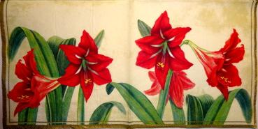 038 Lilies - 3 ply - Ihr